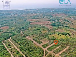  Land for sale in Dist Pochutla, Oaxaca, Dist Pochutla