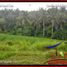  Land for sale in Selemadeg, Tabanan, Selemadeg