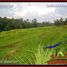  Land for sale in Selemadeg, Tabanan, Selemadeg