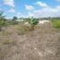 Grundstück zu verkaufen in Othon P Blanco, Quintana Roo, Othon P Blanco