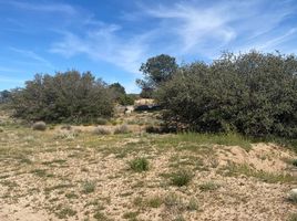  Terrain for sale in Tecate, Baja California, Tecate