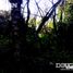  Land for sale in Junin, San Luis, Junin