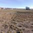  Terrain for sale in Calama, El Loa, Calama