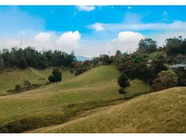  Terreno (Parcela) en venta en Retiro, Antioquia, Retiro