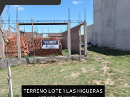  Terreno (Parcela) en venta en Rio Cuarto, Cordobá, Rio Cuarto