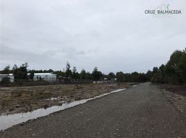  Land for sale in Chile, Puerto Montt, Llanquihue, Los Lagos, Chile