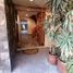 4 Habitación Departamento en venta en Miguel Hidalgo, Ciudad de México, Miguel Hidalgo, Ciudad de México