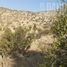  Land for sale in Chile, Santiago, Santiago, Santiago, Chile