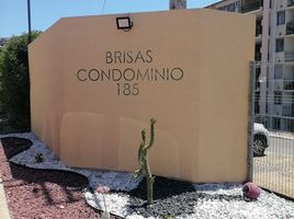 3 Bedroom Apartment for rent in Hospital Naval Almirante Nef, Vina Del Mar, Vina Del Mar
