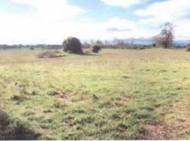  Land for sale in Los Rios, Rio Bueno, Ranco, Los Rios