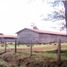  Land for sale in Los Rios, Rio Bueno, Ranco, Los Rios