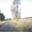  Land for sale in Los Rios, Rio Bueno, Ranco, Los Rios
