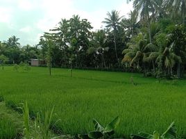  Tanah for sale in Lombok Tengah, West Nusa Tenggara, Praya, Lombok Tengah