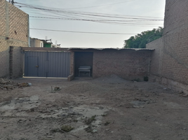  Terrain for rent in Cañete, Lima, San Vicente de Cañete, Cañete