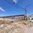  Terreno (Parcela) en alquiler en San Luis Potosi, San Luis Potosí, San Luis Potosi, San Luis Potosí