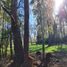  Land for sale in Chile, Villarrica, Cautin, Araucania, Chile