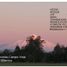  Land for sale in Villarrica, Araucania, Villarrica, Cautin, Araucania