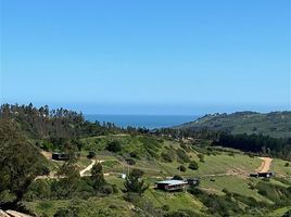  Terreno (Parcela) en venta en Cardenal Caro, Libertador General Bernardo O'Higgins, Navidad, Cardenal Caro