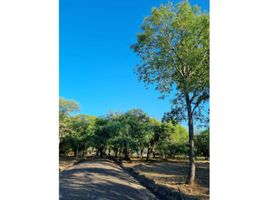  Terreno (Parcela) en venta en San Fernando, Chaco, San Fernando