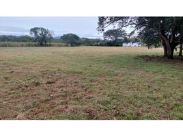  Land for sale in Penonome, Cocle, Rio Grande, Penonome