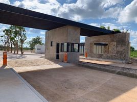  Grundstück zu verkaufen in Conkal, Yucatan, Conkal