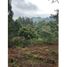 Terrain à vendre à Rionegro, Antioquia, Rionegro, Antioquia