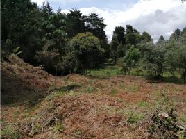 Terrain à vendre à Rionegro, Antioquia, Rionegro, Antioquia
