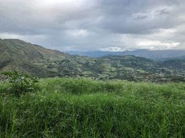  Land for sale in Loja, Malacatos Valladolid, Loja, Loja