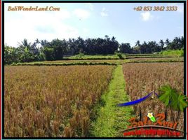  Grundstück zu verkaufen in Gianyar, Bali, Sukawati