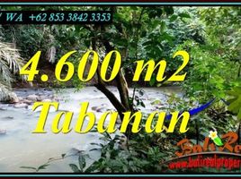  Land for sale in Selemadeg, Tabanan, Selemadeg