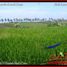  Land for sale in Selemadeg, Tabanan, Selemadeg