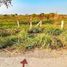  Land for sale in Manlio Fabio Altamirano, Veracruz, Manlio Fabio Altamirano