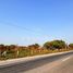  Land for sale in Manlio Fabio Altamirano, Veracruz, Manlio Fabio Altamirano