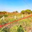  Land for sale in Manlio Fabio Altamirano, Veracruz, Manlio Fabio Altamirano