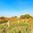  Land for sale in Manlio Fabio Altamirano, Veracruz, Manlio Fabio Altamirano