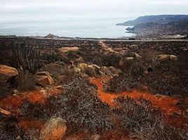  Terreno (Parcela) en venta en Chile, Coquimbo, Elqui, Coquimbo, Chile