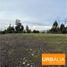  Land for rent in Biobío, Los Angeles, Biobío, Biobío