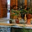 Maison 5 chambre à vendre à Mlati, Yogyakarta, Mlati, Sleman, Yogyakarta