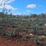  Land for sale in Oxkutzcab, Yucatan, Oxkutzcab