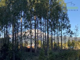  Terreno (Parcela) en venta en Chile, Puerto Varas, Llanquihue, Los Lagos, Chile