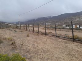 Land for sale in Chile, Coquimbo, Elqui, Coquimbo, Chile