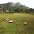  Terreno (Parcela) en venta en San Cristobal De Las Casas, Chiapas, San Cristobal De Las Casas