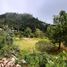  Terreno (Parcela) en venta en San Cristobal De Las Casas, Chiapas, San Cristobal De Las Casas