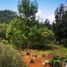  Terreno (Parcela) en venta en San Cristobal De Las Casas, Chiapas, San Cristobal De Las Casas