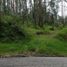  Land for sale in Pichincha, Conocoto, Quito, Pichincha