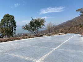  Terreno (Parcela) en venta en Chapala, Jalisco, Chapala