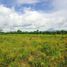  Land for sale in Jagonalan, Klaten, Jagonalan