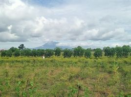  Land for sale in Jagonalan, Klaten, Jagonalan