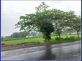  Land for sale in Prambanan, Klaten, Prambanan