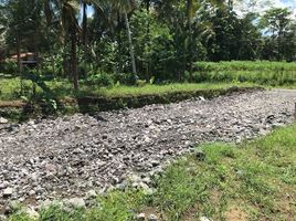  Tanah for sale in Magelang, Jawa Tengah, Tempuran, Magelang